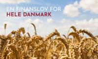 Danmarksdemokraterne, finanslovsudspil